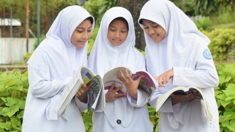 Konsep Umum Tentang Madrasah Diniyah ( oleh AI )
